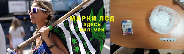 шишки Баксан