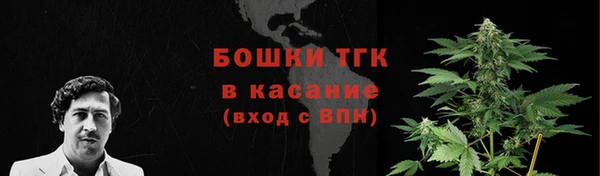 шишки Баксан