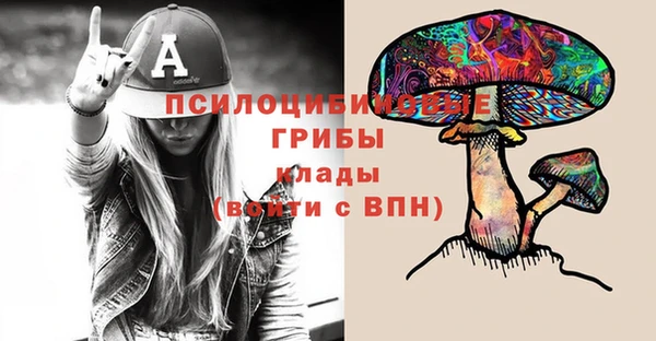 шишки Баксан