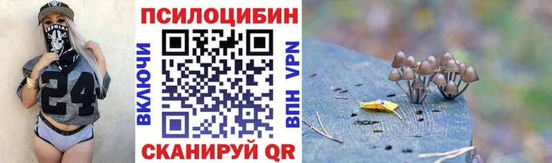 Псилоцибиновые грибы Cubensis  дарнет шоп  Бронницы 